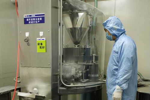 金花制藥廠順利完成GMP符合性自檢工作，全面承接總公司核心業(yè)務(wù)